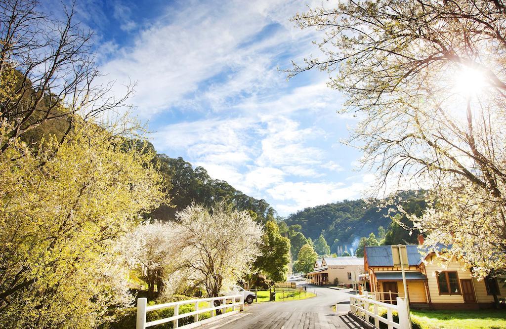Walhalla'S Star Hotel 외부 사진