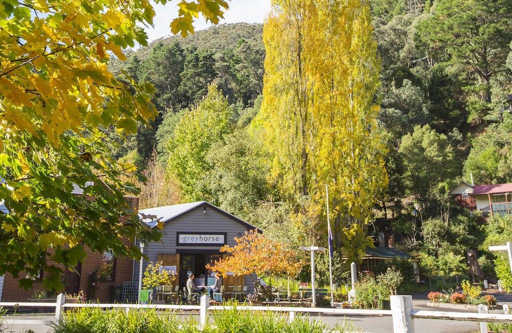Walhalla'S Star Hotel 외부 사진